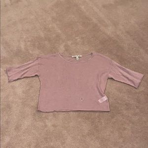 Express Light Pink Sheer Crop Top